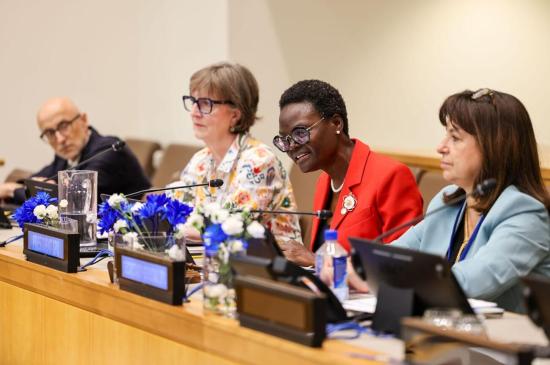 https://www.ipu.org/news/news-in-brief/2026-07/parliamentarians-call-renewed-sdg-push-2030-deadline-looms