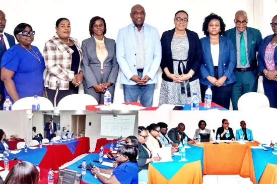 https://www.haitilibre.com/en/news-48455-haiti-elections-strengthening-women-s-participation-in-political-life.html
